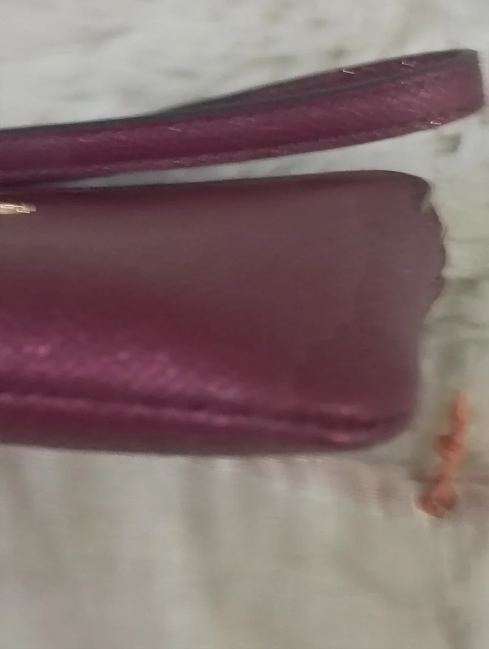 COACH Metallic Corner Zip Wristlet